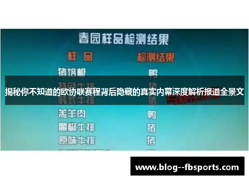 揭秘你不知道的欧协联赛程背后隐藏的真实内幕深度解析报道全景文