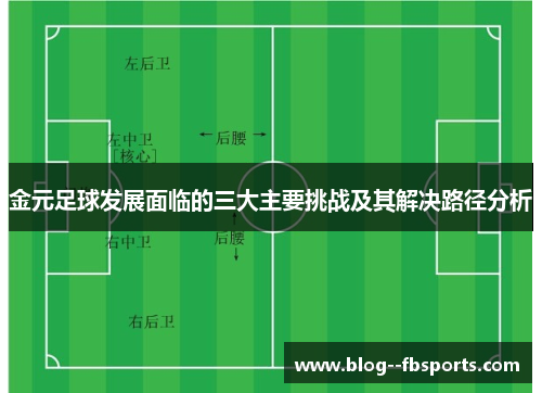 金元足球发展面临的三大主要挑战及其解决路径分析 金元足球发展面临的三大主要挑战及其解决路径分析