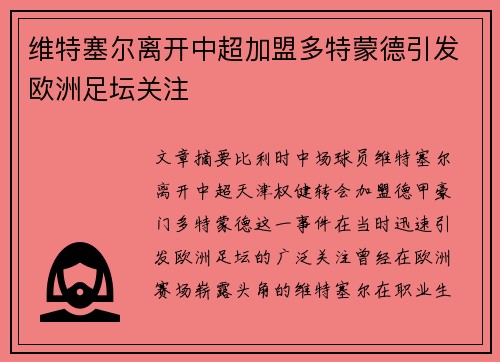 维特塞尔离开中超加盟多特蒙德引发欧洲足坛关注