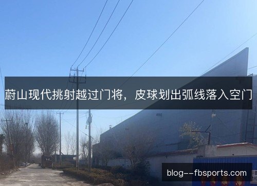 蔚山现代挑射越过门将,皮球划出弧线落入空门 蔚山现代挑射越过门将,皮球划出弧线落入空门