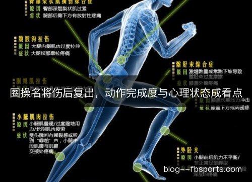 圈操名将伤后复出，动作完成度与心理状态成看点